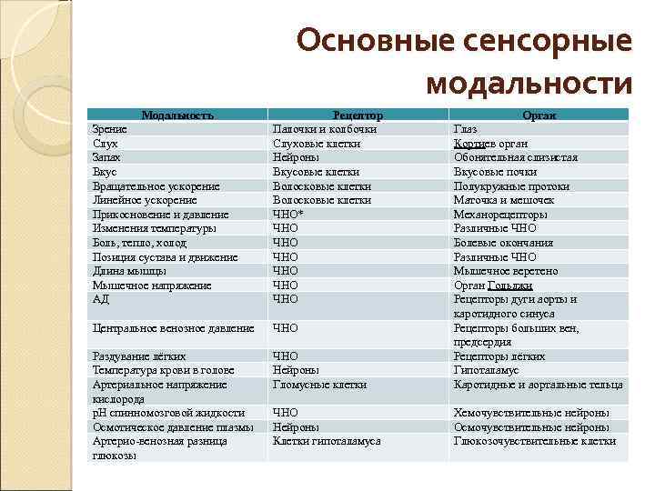 Современные методы и модальности получения медицинских изображений