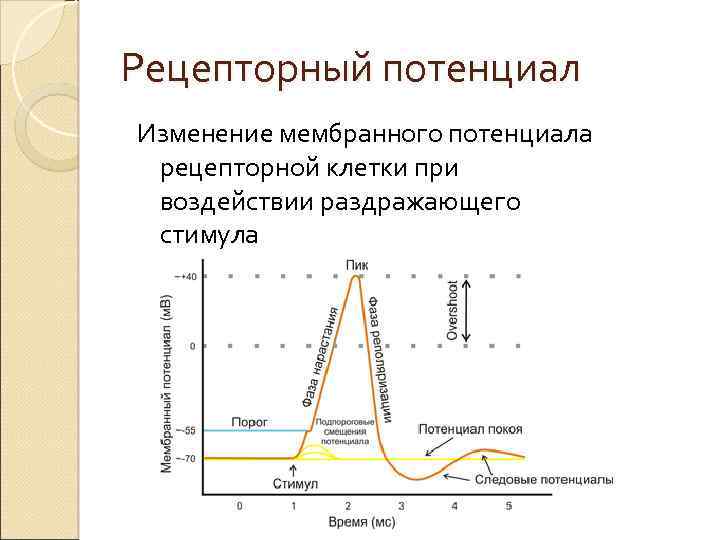 Изменение потенциала