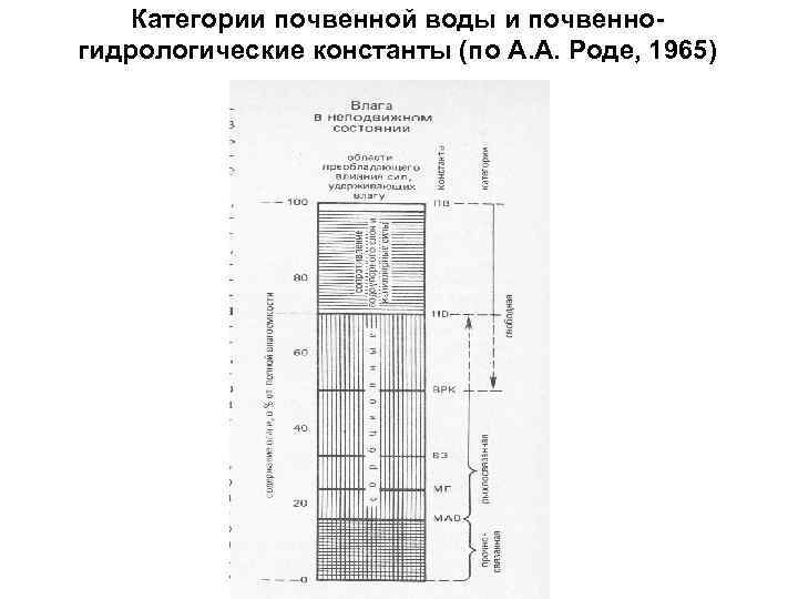 Категории почвенной воды и почвенногидрологические константы (по А. А. Роде, 1965) 