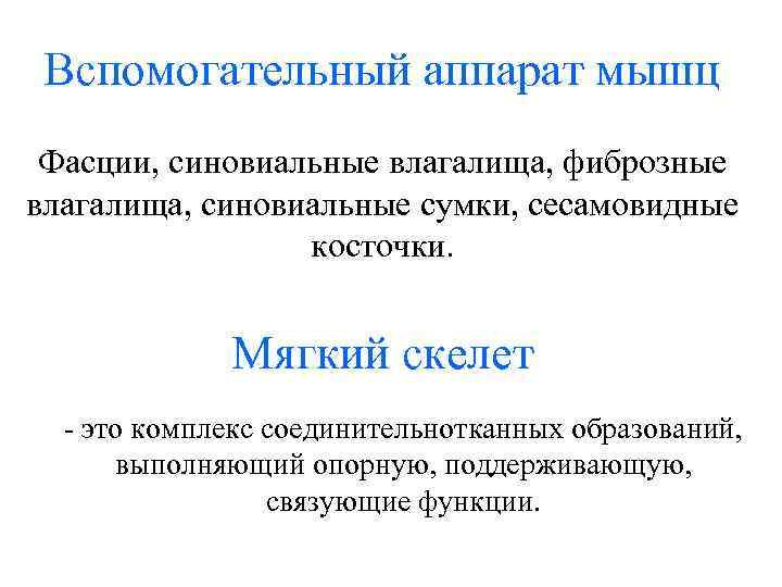 Вспомогательный аппарат мышц Фасции, синовиальные влагалища, фиброзные влагалища, синовиальные сумки, сесамовидные косточки. Мягкий скелет