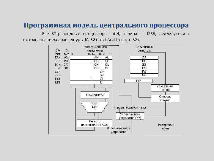 Программная модель центрального процессора Все 32 -разрядные процессоры Intel, начиная с i 386, реализуются