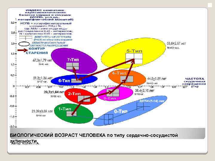 БИОЛОГИЧЕСКИЙ ВОЗРАСТ ЧЕЛОВЕКА по типу сердечно-сосудистой активности Автор: Юрлин Л. А. 