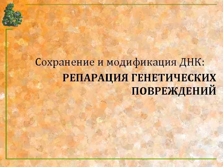 Сохранение и модификация ДНК: РЕПАРАЦИЯ ГЕНЕТИЧЕСКИХ ПОВРЕЖДЕНИЙ 