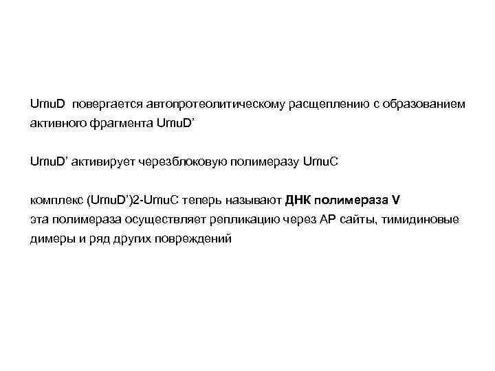 Umu. D повергается автопротеолитическому расщеплению с образованием активного фрагмента Umu. D’ активирует черезблоковую полимеразу