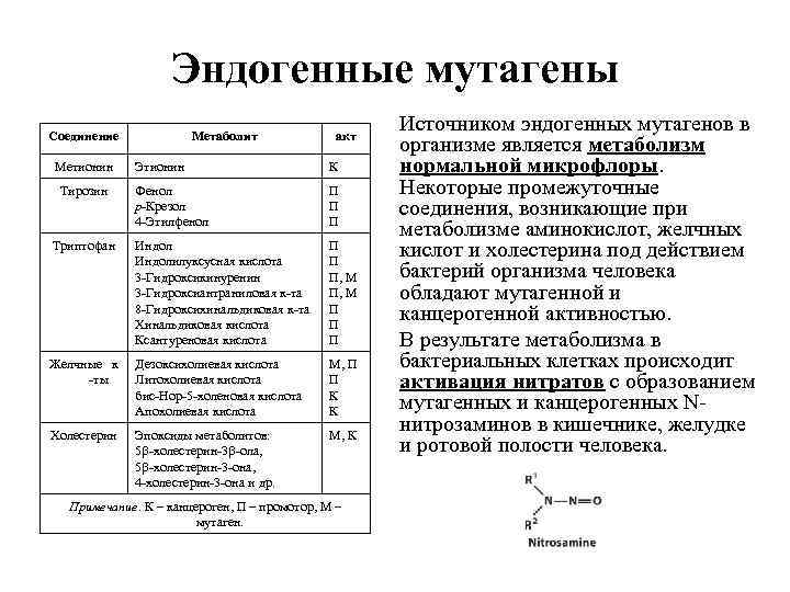 Эндогенные мутагены Соединение Метионин Метаболит акт Этионин К Фенол p-Крезол 4 -Этилфенол П П