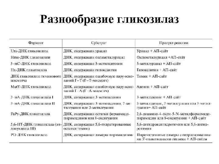 Разнообразие гликозилаз 