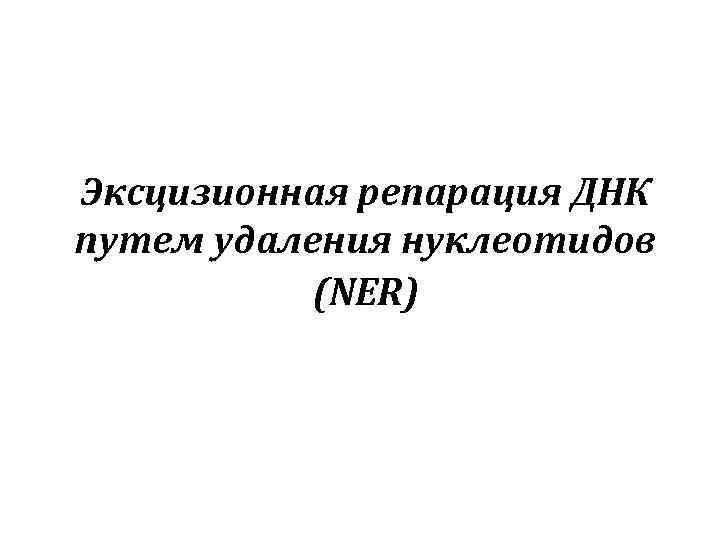 Эксцизионная репарация ДНК путем удаления нуклеотидов (NER) 