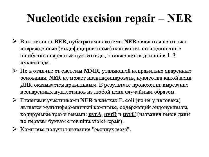 Nucleotide excision repair – NER Ø В отличии от BER, субстратами системы NER являются