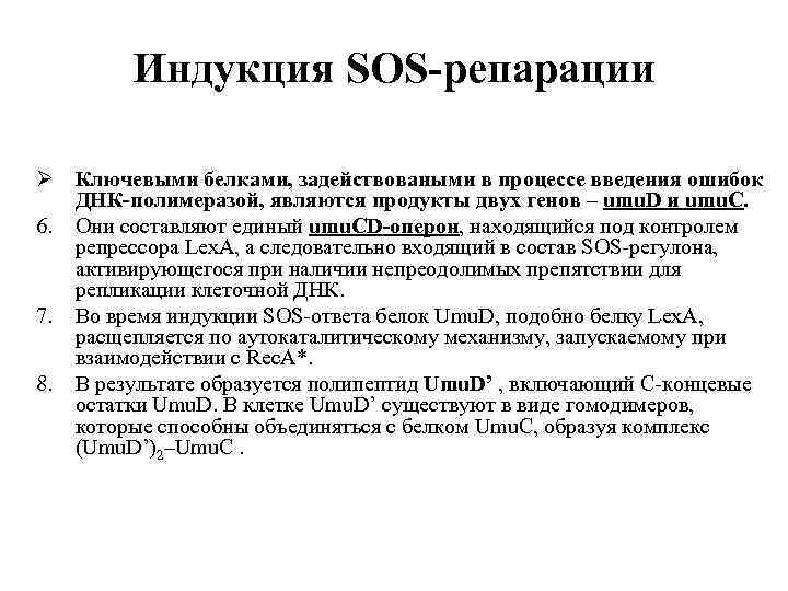 Индукция SOS-репарации Ø Ключевыми белками, задействоваными в процессе введения ошибок ДНК-полимеразой, являются продукты двух