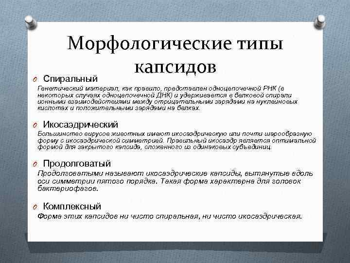 O Морфологические типы капсидов Спиральный Генетический материал, как правило, представлен одноцепочечной РНК (в некоторых