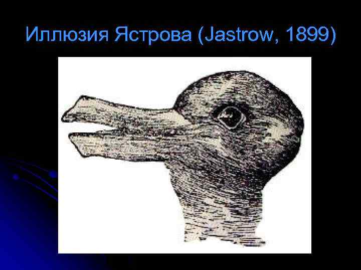 Оптические иллюзии двойственные. Двойственные изображения иллюзии. Оптическая иллюзия утка.