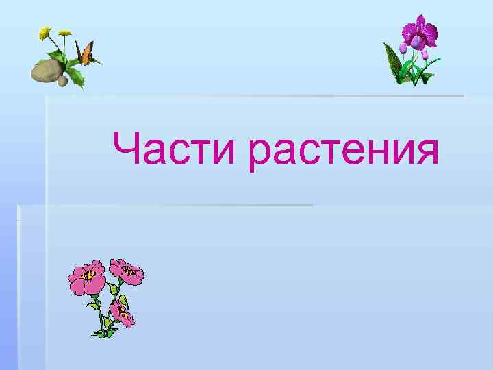 Части растения 