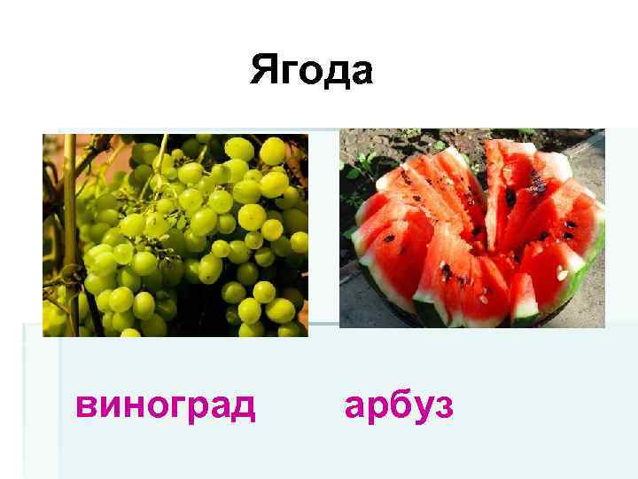 Ягода виноград арбуз 