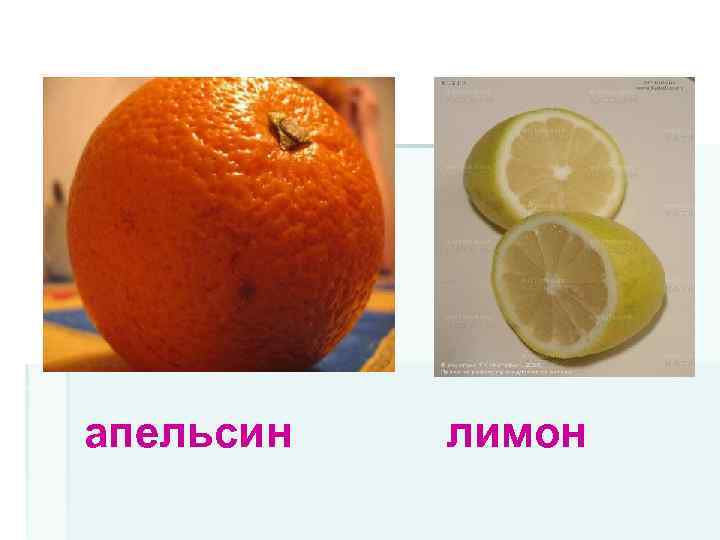 апельсин лимон 