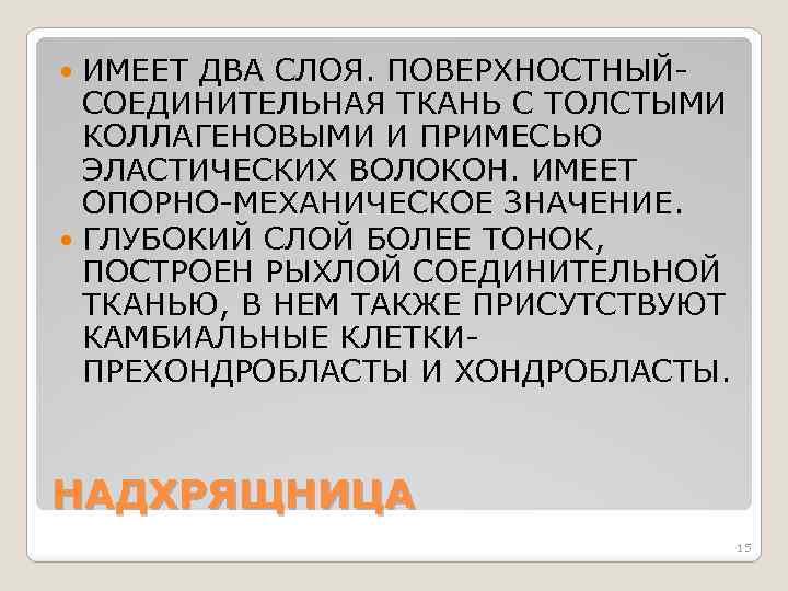 ИМЕЕТ ДВА СЛОЯ. ПОВЕРХНОСТНЫЙСОЕДИНИТЕЛЬНАЯ ТКАНЬ С ТОЛСТЫМИ КОЛЛАГЕНОВЫМИ И ПРИМЕСЬЮ ЭЛАСТИЧЕСКИХ ВОЛОКОН. ИМЕЕТ ОПОРНО-МЕХАНИЧЕСКОЕ
