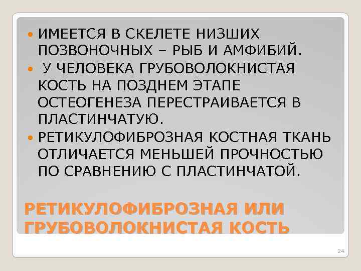 ИМЕЕТСЯ В СКЕЛЕТЕ НИЗШИХ ПОЗВОНОЧНЫХ – РЫБ И АМФИБИЙ. У ЧЕЛОВЕКА ГРУБОВОЛОКНИСТАЯ КОСТЬ НА