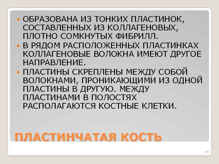 ОБРАЗОВАНА ИЗ ТОНКИХ ПЛАСТИНОК, СОСТАВЛЕННЫХ ИЗ КОЛЛАГЕНОВЫХ, ПЛОТНО СОМКНУТЫХ ФИБРИЛЛ. В РЯДОМ РАСПОЛОЖЕННЫХ ПЛАСТИНКАХ