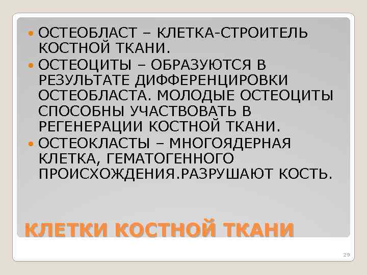 ОСТЕОБЛАСТ – КЛЕТКА-СТРОИТЕЛЬ КОСТНОЙ ТКАНИ. ОСТЕОЦИТЫ – ОБРАЗУЮТСЯ В РЕЗУЛЬТАТЕ ДИФФЕРЕНЦИРОВКИ ОСТЕОБЛАСТА. МОЛОДЫЕ ОСТЕОЦИТЫ