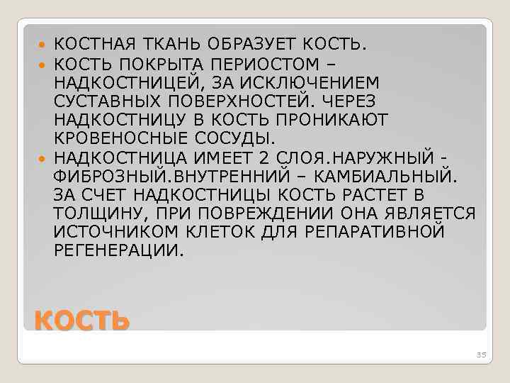 КОСТНАЯ ТКАНЬ ОБРАЗУЕТ КОСТЬ ПОКРЫТА ПЕРИОСТОМ – НАДКОСТНИЦЕЙ, ЗА ИСКЛЮЧЕНИЕМ СУСТАВНЫХ ПОВЕРХНОСТЕЙ. ЧЕРЕЗ НАДКОСТНИЦУ