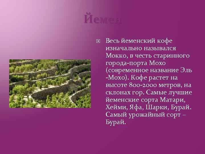 Йемен Весь йеменский кофе изначально назывался Мокко, в честь старинного города-порта Мохо (современное название