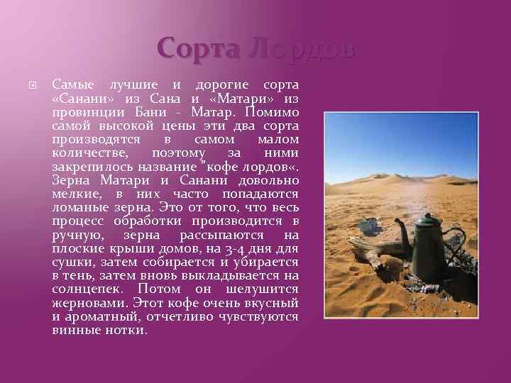 Сорта Лордов Самые лучшие и дорогие сорта «Санани» из Сана и «Матари» из провинции
