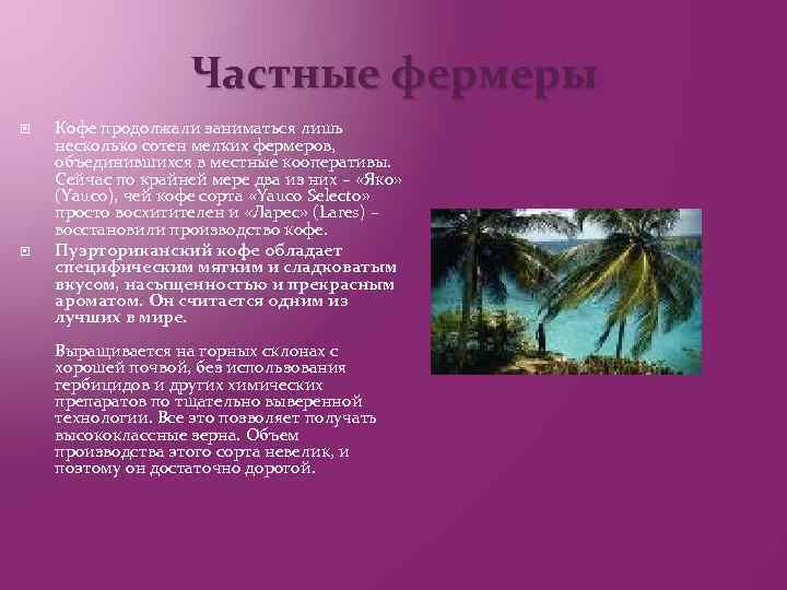 Частные фермеры Кофе продолжали заниматься лишь несколько сотен мелких фермеров, объединившихся в местные кооперативы.