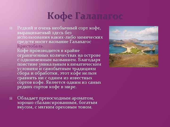 Кофе Галапагос Редкий и очень необычный сорт кофе, выращиваемый здесь без использования каких-либо химических