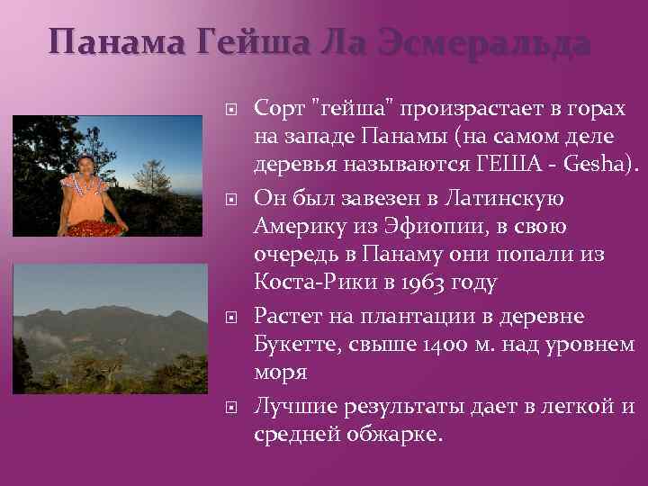Панама Гейша Ла Эсмеральда Сорт 