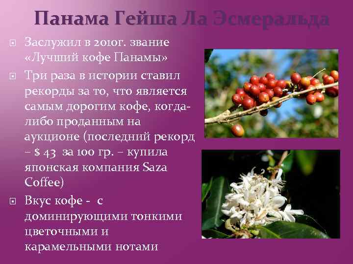 Панама Гейша Ла Эсмеральда Заслужил в 2010 г. звание «Лучший кофе Панамы» Три раза