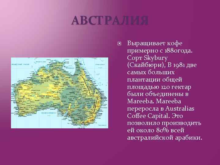 АВСТРАЛИЯ Выращивает кофе примерно с 1880 года. Сорт Skybury (Скайбюри), В 1981 две самых