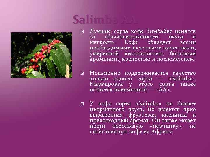 Salimba АА Лучшие сорта кофе Зимбабве ценятся за сбалансированность вкуса и мягкость. Кофе обладает