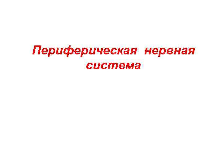 Периферическая нервная система 
