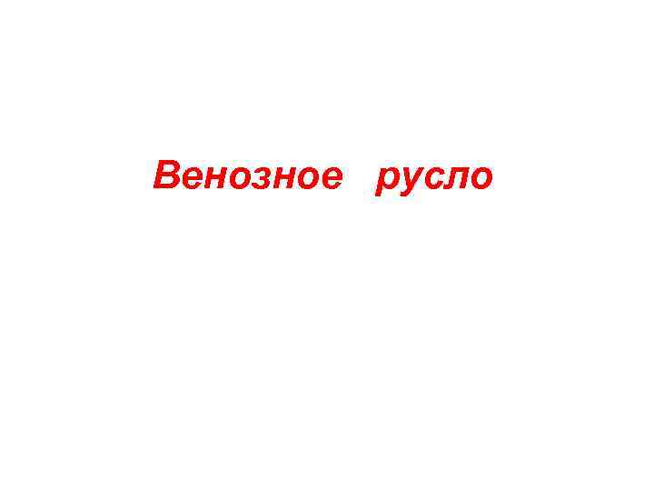 Венозное русло 