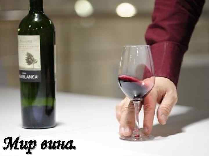 Мир вина. 