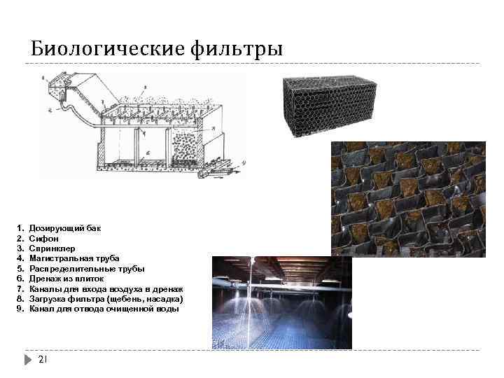 Биологические фильтры 1. 2. 3. 4. 5. 6. 7. 8. 9. Дозирующий бак Сифон