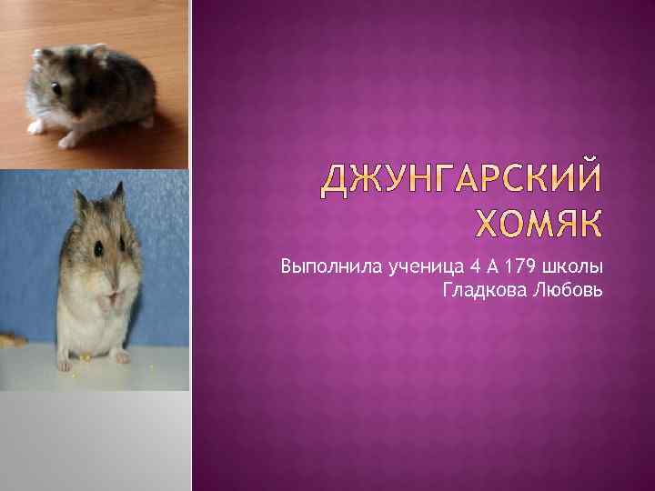 Выполнила ученица 4 А 179 школы Гладкова Любовь 