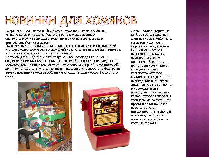 Американец Нод – настоящий любитель хомяков, и свою любовь он успешно доказал на деле.