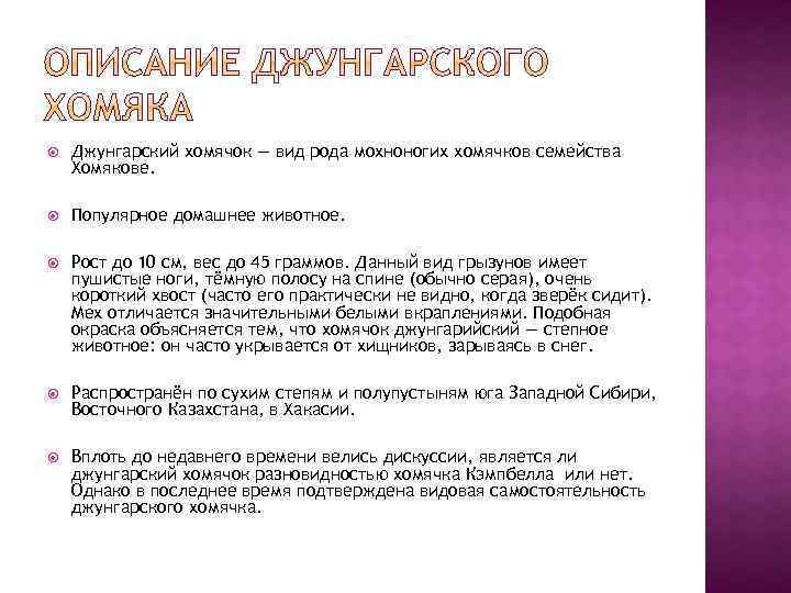  Джунгарский хомячок — вид рода мохноногих хомячков семейства Хомякове. Популярное домашнее животное. Рост