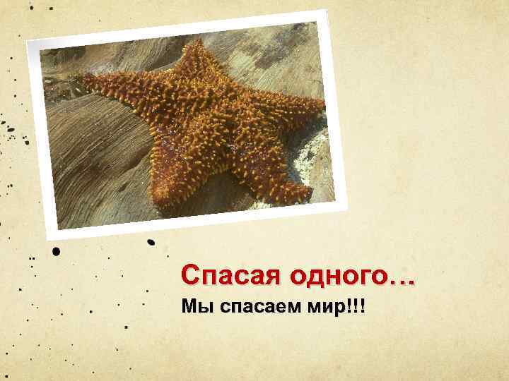 Спасая одного… Мы спасаем мир!!! 