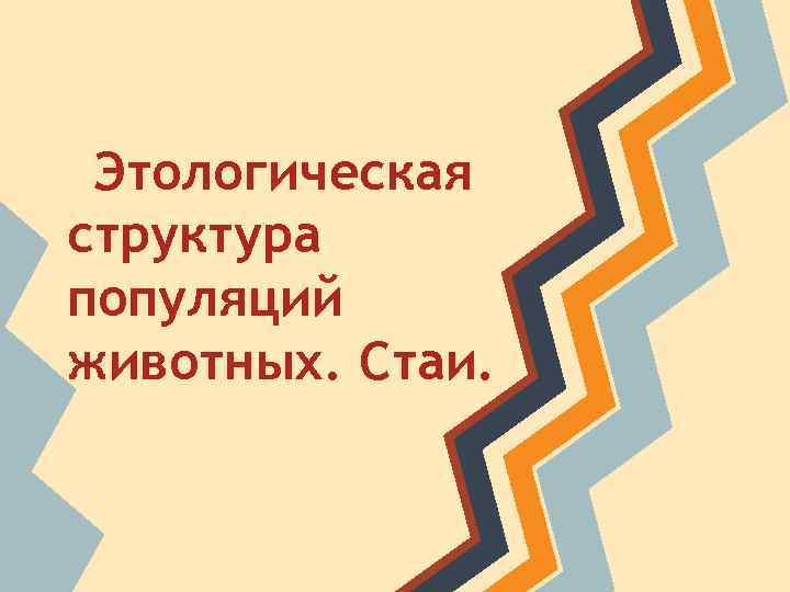 Этологическая структура популяций животных. Стаи. 