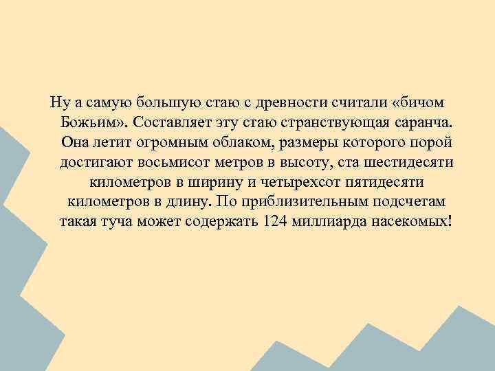 Ну а самую большую стаю с древности считали «бичом Божьим» . Составляет эту стаю