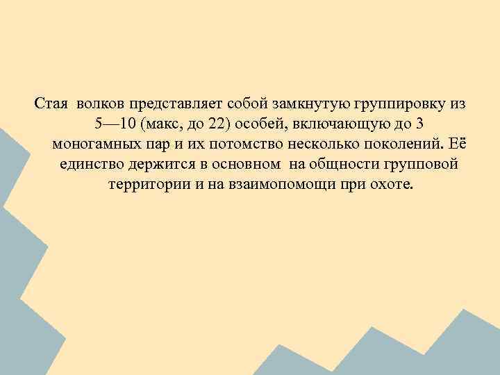 Стая волков представляет собой замкнутую группировку из 5— 10 (макс, до 22) особей, включающую