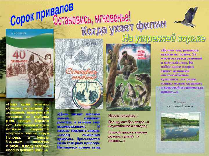  «Допив чай, решаюсь пройти по пойме. За мной остается зеленый и мокрый след.