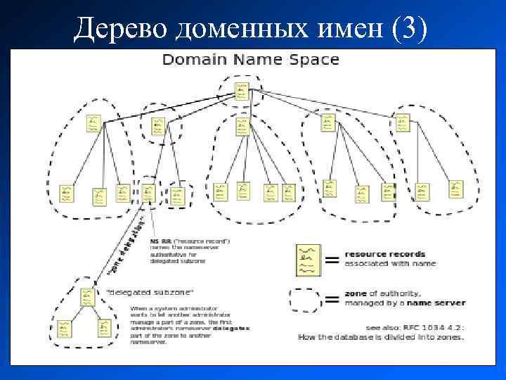 Дерево доменных имен (3) 