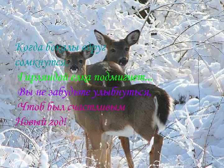 Когда бокалы вдруг сомкнутся, Гирляндой елка подмигнет. . . Вы не забудьте улыбнуться, Чтоб