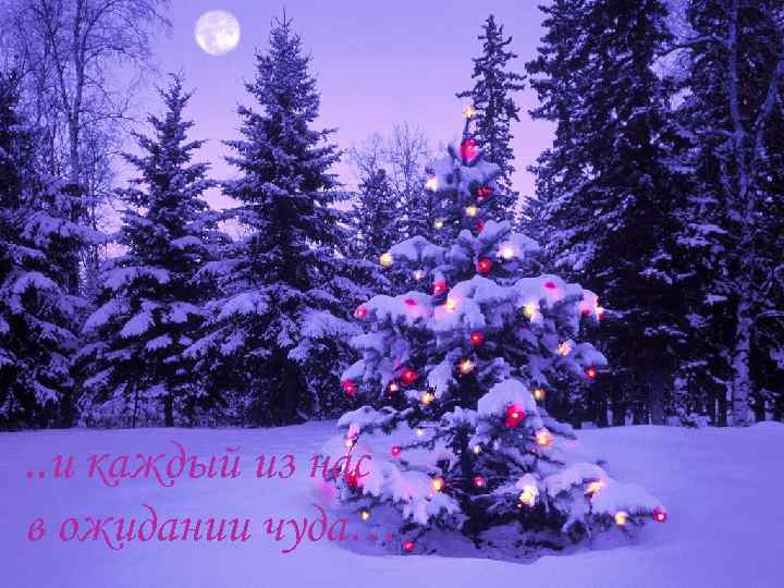. . и каждый из нас в ожидании чуда… 
