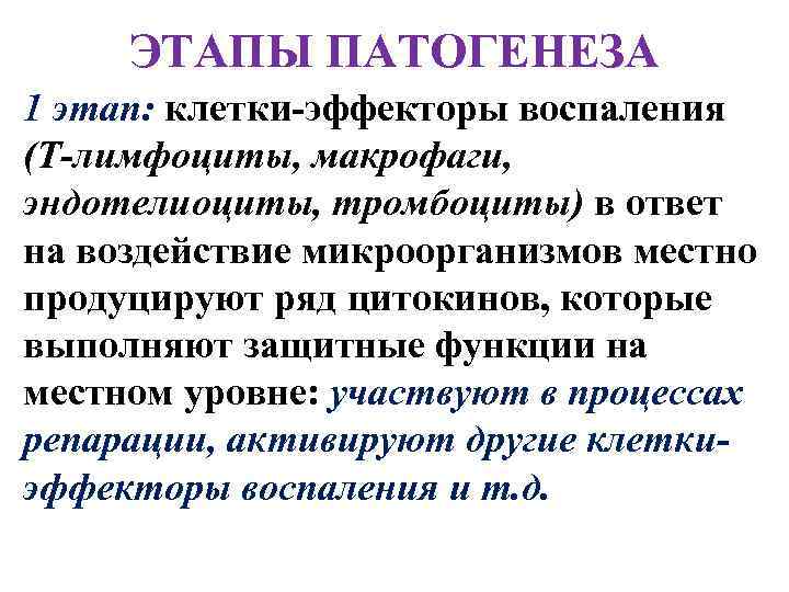 ЭТАПЫ ПАТОГЕНЕЗА 1 этап: клетки-эффекторы воспаления (Т-лимфоциты, макрофаги, эндотелиоциты, тромбоциты) в ответ на воздействие