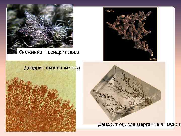 Снежинка - дендрит льда Дендрит окисла железа Дендрит окисла марганца в кварце Lk 8_OM