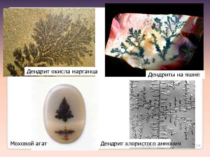 Дендрит окисла марганца Моховой агат Дендриты на яшме Дендрит хлористого аммония Lk 8_OM i