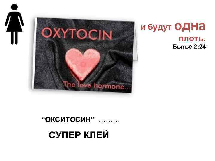 и будут oдна плоть. Бытье 2: 24 “ОКСИТОСИН” ……… СУПЕР КЛЕЙ 